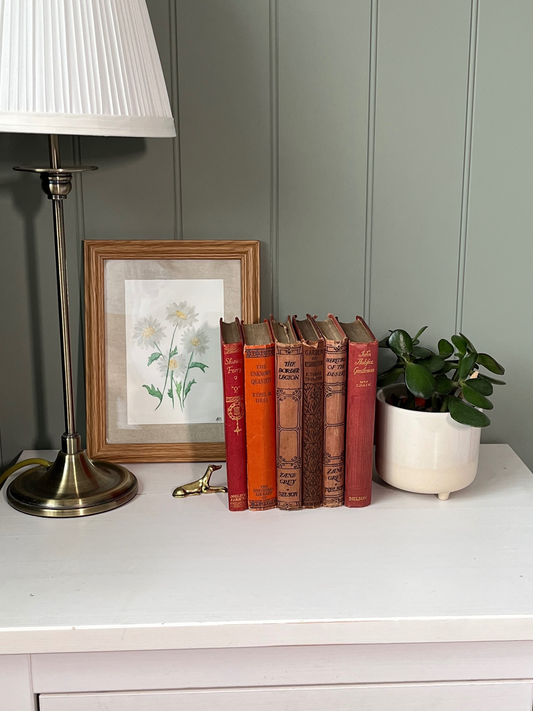 Set of 6 vintage red books circa 1910-1930